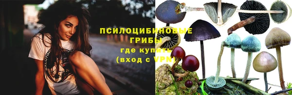 прущая мука Вязьма