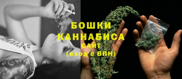 дмт Вяземский
