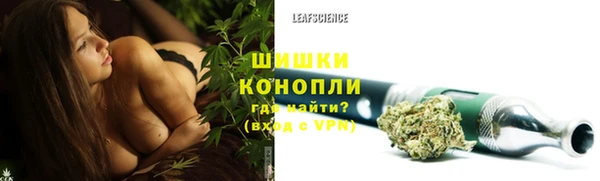 дмт Вяземский