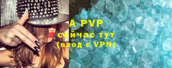 дмт Вяземский