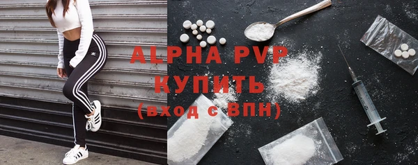 дмт Вяземский