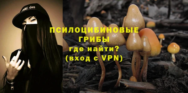 дмт Вяземский