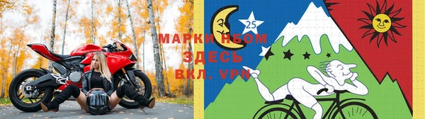 дмт Вяземский