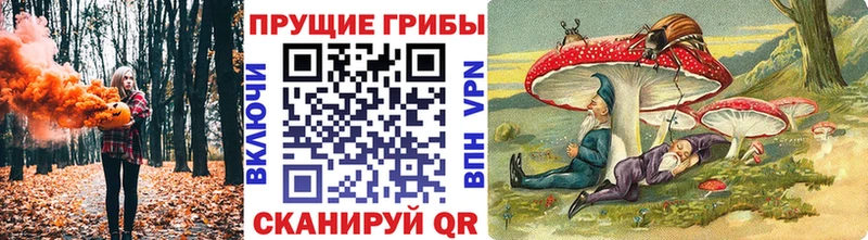 Галлюциногенные грибы мицелий  как найти закладки  Муром 