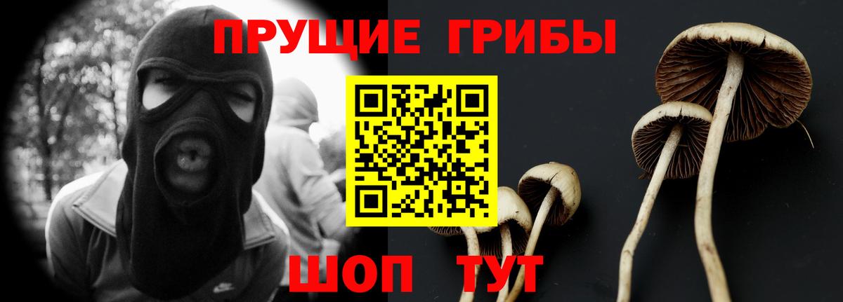 Псилоцибиновые грибы MAGIC MUSHROOMS Муром